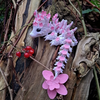 Cherry Blossom Dragon
