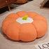 products/45-90cm-Kawaii-Ins-Plush-Plants-Pillow-Pumpkin-Futon-Super-Soft-Fruits-Pumpkin-Toys-Kids-Girls.jpg_640x640_70510987-0526-4532-a84d-69b8f8921c12.jpg