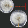 Real Dried Dandelion Crystal Glass Resin Lens Ball