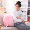 Stuffed Animal Doll Pillow